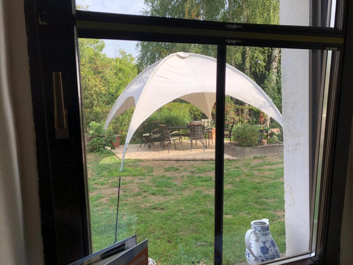 Ferienwohnung Schwemmer Pirna Eksteriør bilde